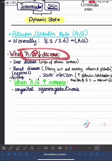 Understanding Blood Composition: Plasma Proteins Explained