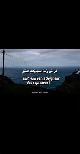 Surah Al-Mu'minun / THE BELIEVERS #recitationofquran #islam #quran #foryou #fyp