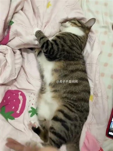 在梦中怎么感觉脚痒痒的