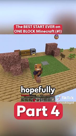 Best Minecraft One Block Experience