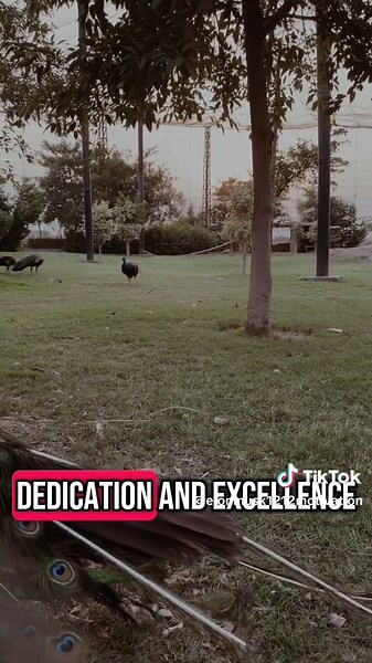 Inspirational Elon Musk Quotes for Motivation