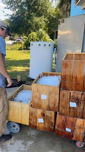 34K views · 781 reactions | A little peek into the process of getting those Local Georgia Shrimp to your door and into all of your favorite restaurants! Eat Local Shrimp! #thegoldenisles #eatlocal #classicgeorgia #freshseafood #shrimp | City Market, Inc | Facebook