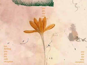 783K views · 19K reactions | only exception | User not found | Facebook