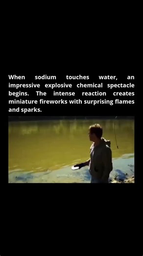 Remarkable Facts on Instagram: "Follow @remarkable.facts if you want to get smarter every day. -------------- When a piece of sodium metal encounters water, it initiates a captivating and highly energetic chemical spectacle. This dramatic interaction vividly showcases the extreme reactivity of sodium, an alkali metal renowned for its vigorous reactions with aqueous solutions. The reaction commences as sodium (Na) rapidly oxidizes, transferring an electron to water molecules (H₂O), resulting in t