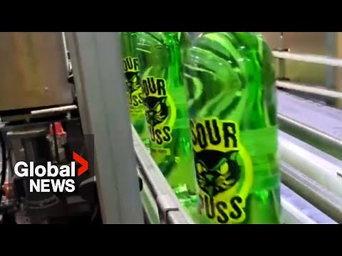 Canada-US trade war: Sour Puss Liquor shifts production from Minnesota to Montreal