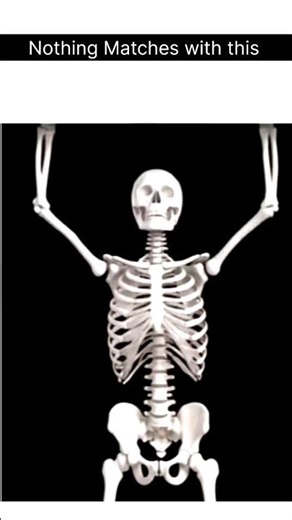 Skeletal Song With parts || #bones #skeletal #song #unmatched