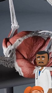 118K views · 17K reactions | Important note: Spinal extension during the bench press is actually part of the correct technique—it helps create stability and allows better force transfer. Still, repeated stress from the movement can affect the body over time. So, always use proper form, stretch regularly, and include back decompression to protect yourself. Video credits: @anatomy.of.motion @MuscleandMotion @Move @DeltaBolic @SciePro | Doctor Curses | Facebook