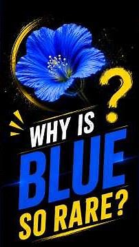 The Color Nature Almost Never Makes: Why Blue Is So Rare in the Living World