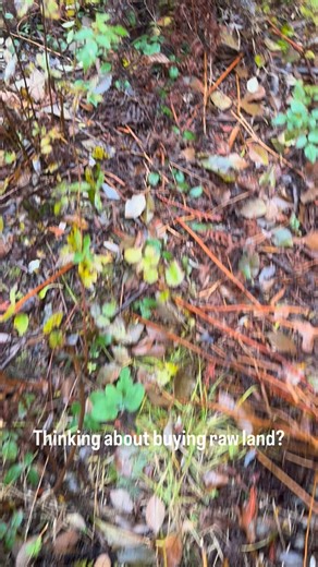 ✅Check for wetlands. These areas can limit building options and may...