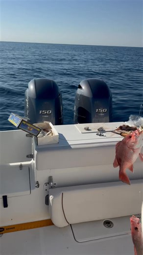 We went from Mingo Slayer to Fish Slayer! Enjoy and watch for the surprise ending!! #fishing #family #gulfcoast #fyp Rusty | Melissa Penton