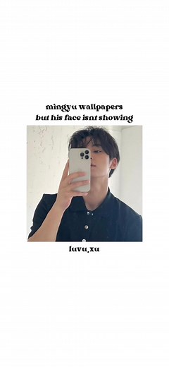 Mingyu Aesthetic Wallpapers Collection