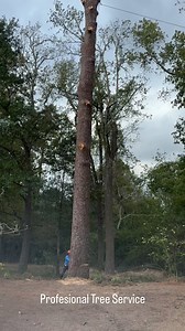 Profesional Tree Service huntsville tx #treework #treeremoval #treeworker #climbing #arborists #treeservice #huntsville tx | Carlos Villanueva