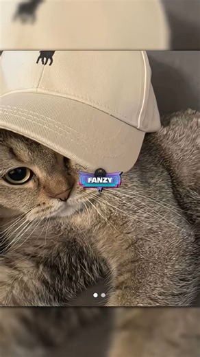 ᴀɴʏᴋ (@anyk_preset) - Ultimate Guide to Using Presets in Alight Motion