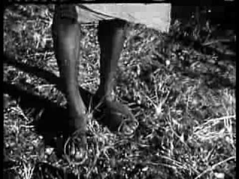 Queen of the Amazons (1947) JUNGLE ADVENTURE