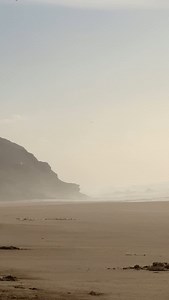 https://beachcam.meo.pt/livecams/murtinheira/ | Quiaios Beach