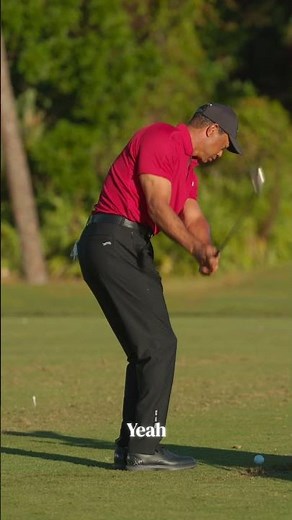 Tiger Woods Wedge Bounce #subscribe #golf