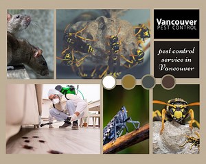 pest control service in Vancouver