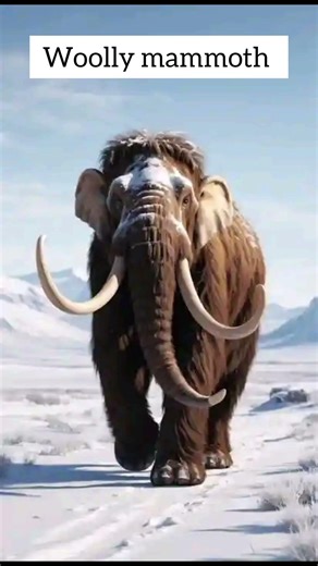 how animals go Extinct 😯 #shorts