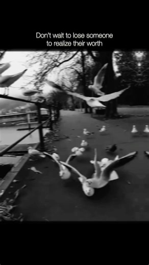 Respect and value people before it becomes a regret🌷#shorts #shortsfeed #youtubeshorts #viral #fyp