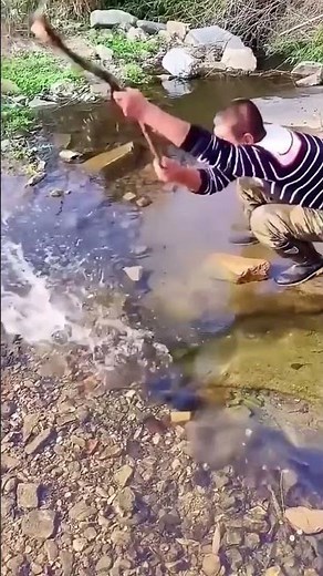 Fishing process using tree branches