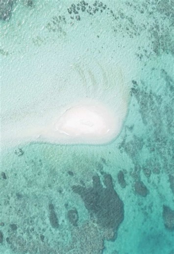 沖縄の魅力的なバラス島ビーチリゾート探索