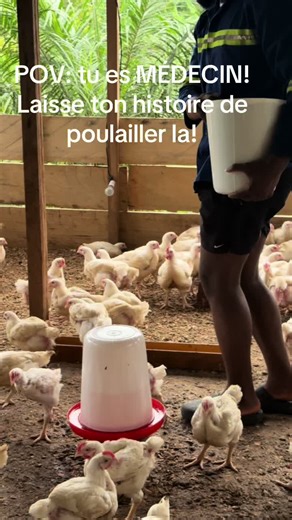 #creatorsearchinsights #trendingvideo #poulailler #broilerfarm #broiler #chicken #avicultura #viralvideos #fyp