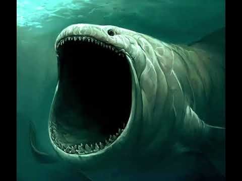 Bloop sound effects (warning, headphones off )￼￼￼