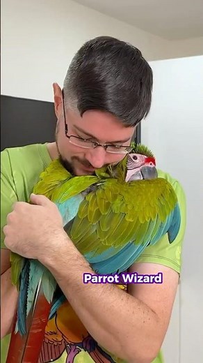 Great Green Macaw Project Complete