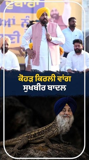 ਕੋਹੜ ਕਿਰਲੀ ਵਾਂਗ Sukhbir Badal | Bhagwant Mann | Shiromani Akali Dal | Punjab Politics