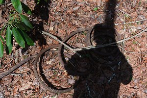 Chattooga Wild and Scenic River: Chattooga River Trail to Cane Creek Falls and The Narrows, Highlands, North Carolina