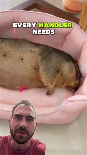 Essential Standard Equipment for Outdoor Adventures