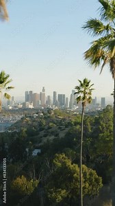 Vertical Screen: Enjoy a mesmerizing vertical video showcasing downtown Los Angeles with palm trees, skyscrapers, and a bustling cityscape, offering a unique view of this vibrant metropolis