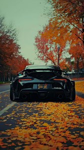 30K reactions · 341 shares | Run it back ✨ #luxury #mindset #wealth | LuxeVerse | Facebook