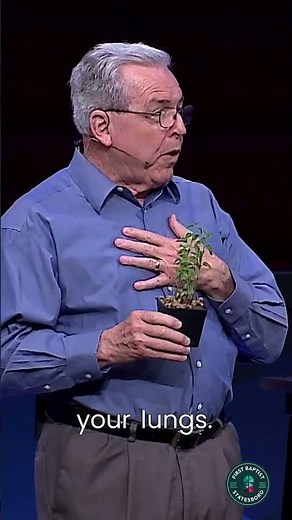 The Surprising Role of Hyssop in Jesus' Crucifixion