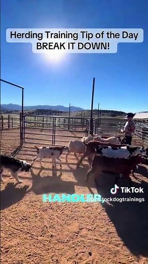 Break It Down Herding 101