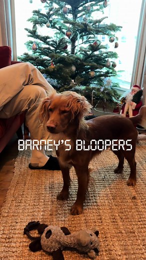 Barney's Bloopers Episode 2: The Operation Gone Wrong