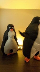 Flipper (@flipperdapenguin)’s video of human nature dance