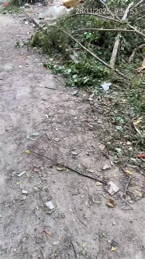 7.1K views · 11 reactions | Andres Perez Perez on Reels | Facebook