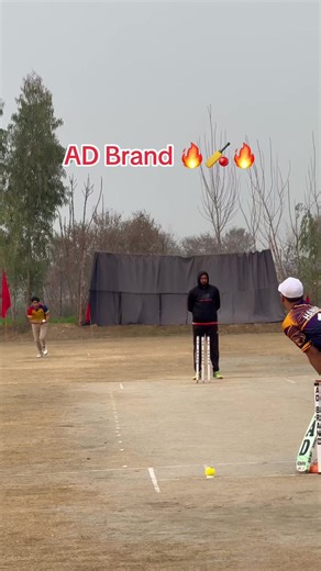 Perfect Shot: Mastering Bat Techniques