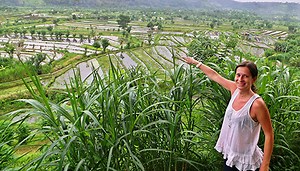 BSPP - The British Society for Plant Pathology -