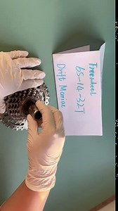 Amazon.com : 6 Speed Freewheel 14-32 Epoch Bike 6spd : Sports & Outdoors