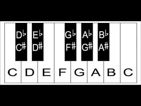 Piano Keys: The Layout Of Keys On The Keyboard