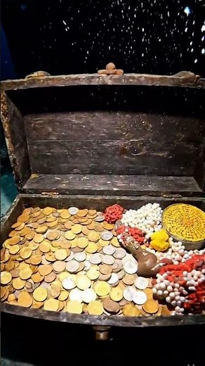 What We Found Inside This Sunken Ship Shocked Us!”