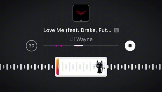 Exploring the Vibes of 'Love Me' by Lil Wayne