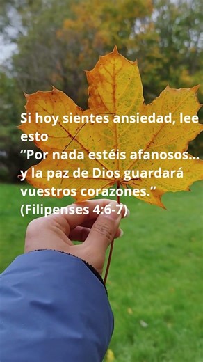 (Filipenses 4:6-7) #cristianoshispanos #inspiracióncristiana #cristianosconfe #enfoquecristiano
