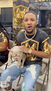 Dog breeders are the new gangstas😭😭 When did dog breeding get this serious!?😭😂😂 #comedy #funny #skit | Bendadonnn