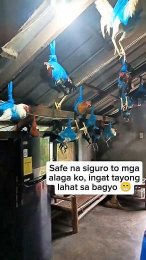 Safe na sila sa bagyo at BAHA #BagyongUwan #BagyoUpdate #bagyo | BaiMasoy TV