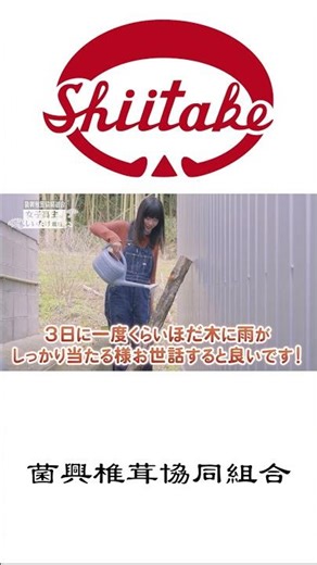 発生の準備 #高校生がしいたけ栽培 ？！