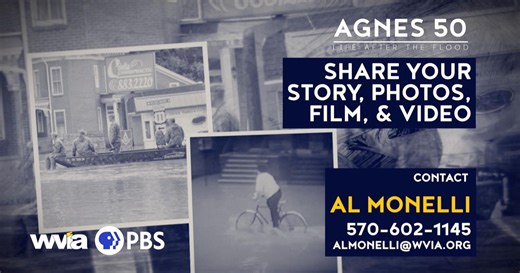 Agnes 50: Share Your Stories