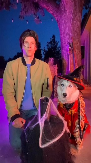 It’s just a bunch of Hocus Pocus! Happy Halloween! #halloween #dogsofinstagram #siberianhusky #huskypuppy #huskies #dogs #hocuspocus #spookyseason #funnydogvideos | 2Husketeers